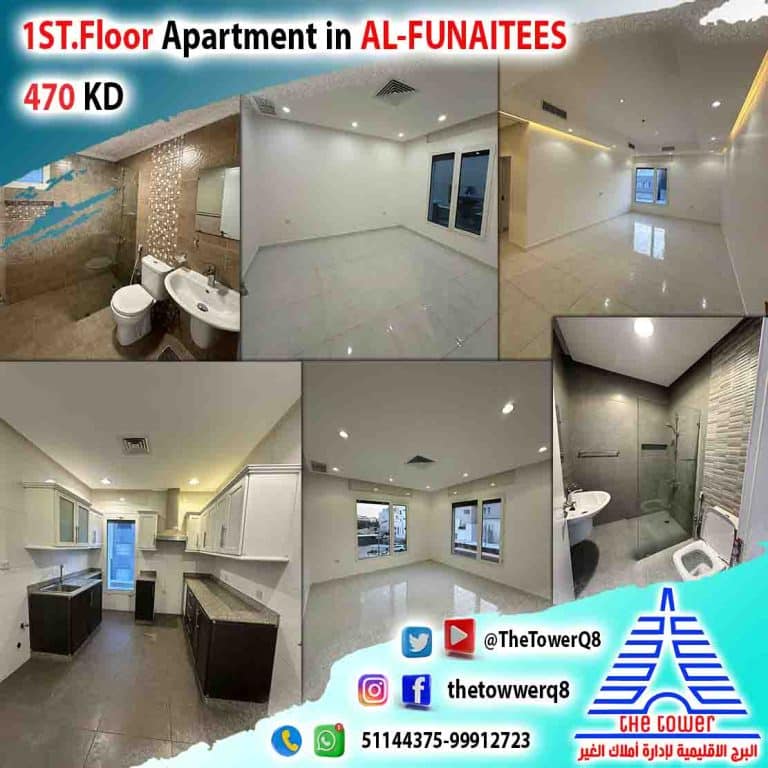Ap-roof_Abu-Fatera450