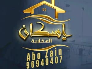 ابو زين