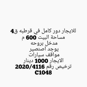 1000580594