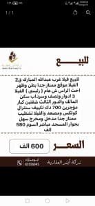 Screenshot_20260210_135631_com.q8villa.product