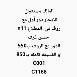 1000757236-1