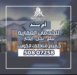 1000266213-2