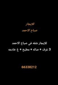 1000271381-1