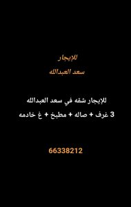 1000273684-3