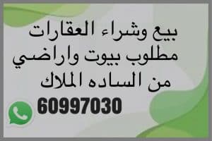 443fe82f-9404-4695-bea7-03049841779e