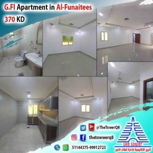 Ap-G.F-Fun370-2